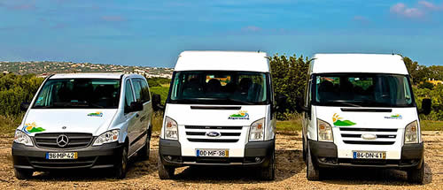 Vans for golf transfers